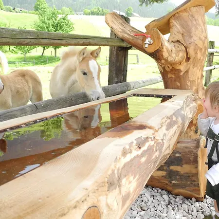 公寓 Feuerlehof 艾根恩斯道尔